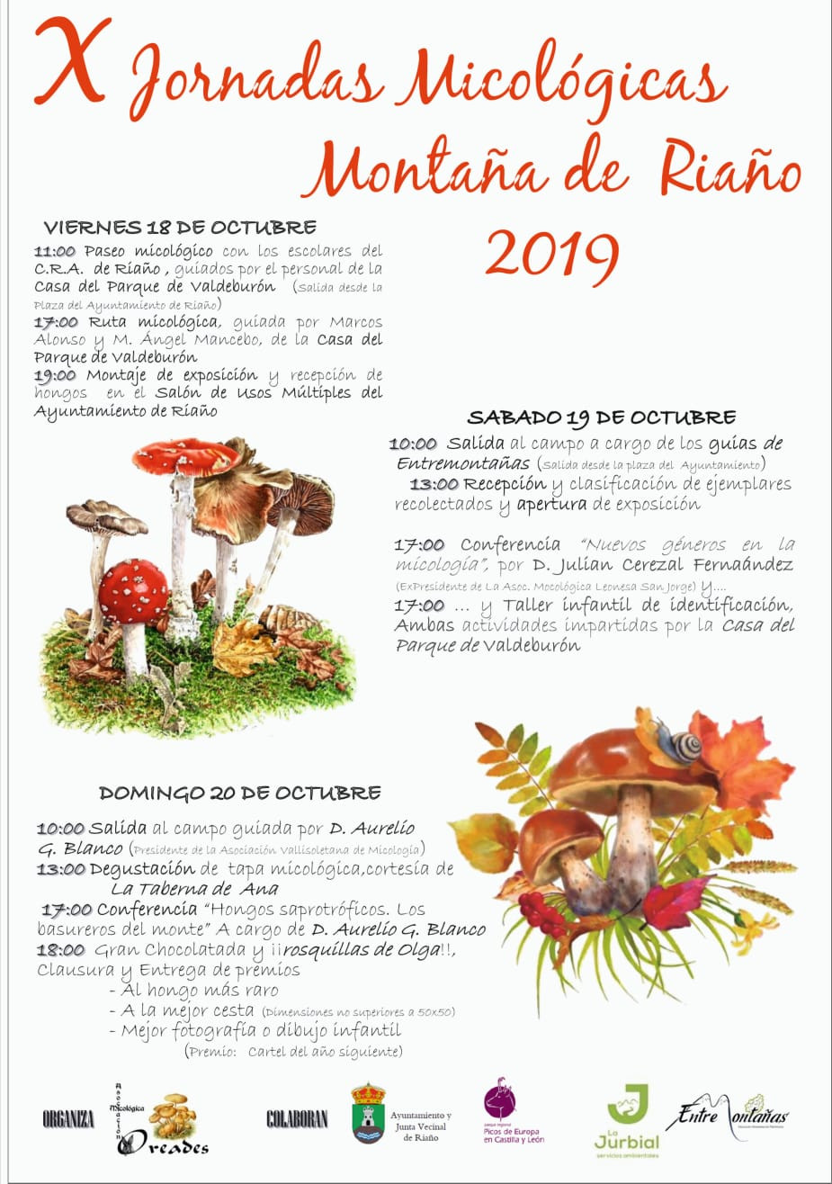 Jornadas micologicas riau00f1o 2019