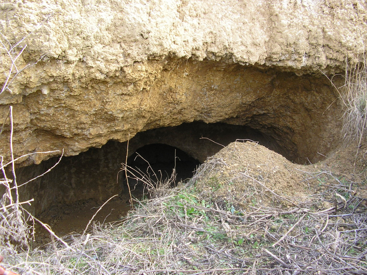 Cueva san martin torio