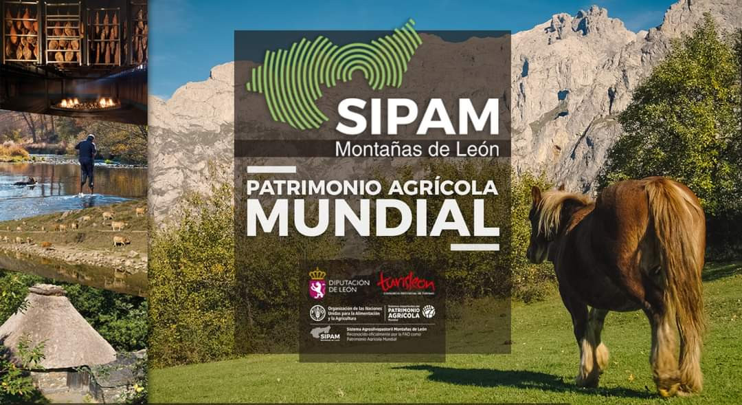 SIPAM patrimonio agricola mundial montañas de leon