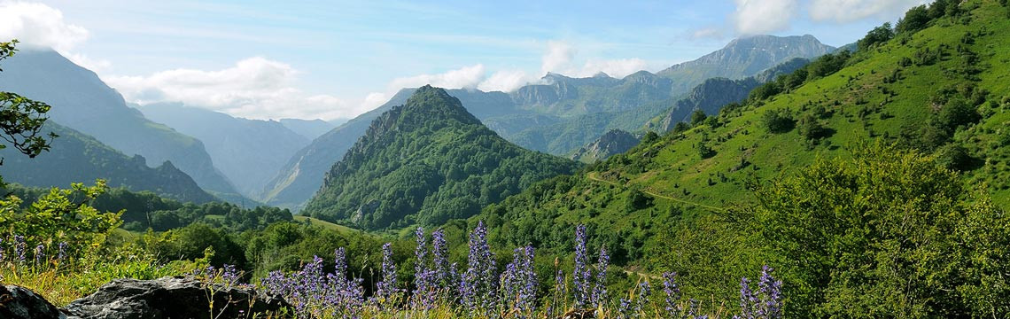 Valle de sajambre asoc turismo rural picos de europa leon