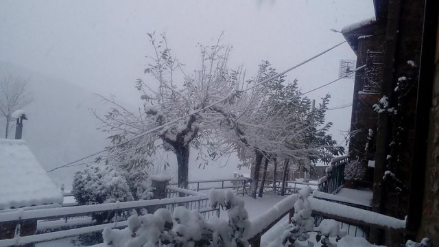 Caminayolourdes