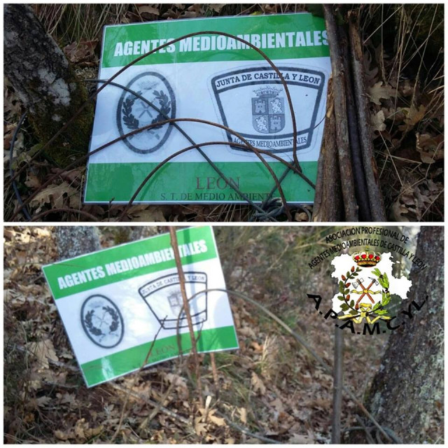 Trampas para animales Cistierna
