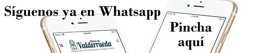 App movil diario de valderrueda web wasap