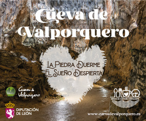 DIARIO DE VALDERRUEDA  300 X 250