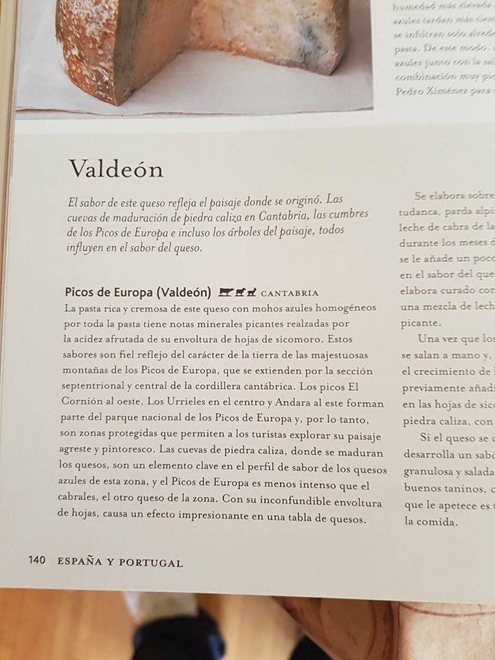 Valdeu00f3n libro 1