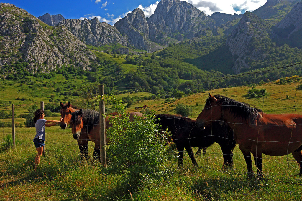 16 Valle de Reyero