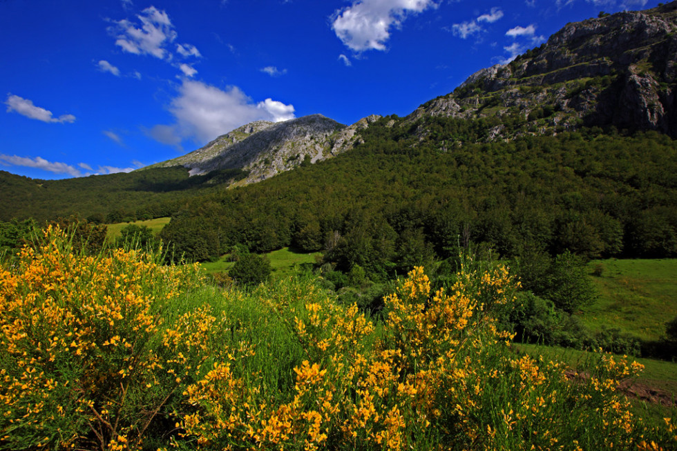 04 Parque Regional Montaña de Riaño y Mampodre