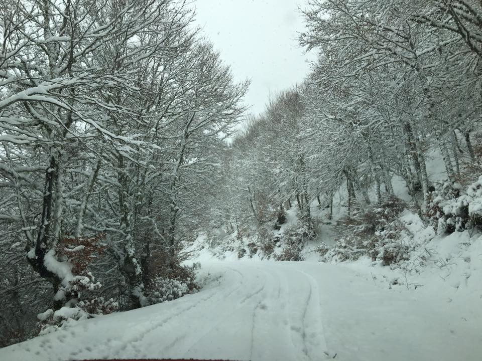 Carretera morgovejo prioro iris viñuela