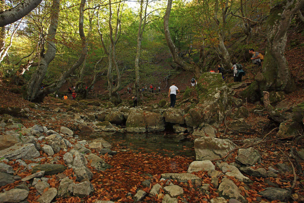 Reserva de la Biosfera del Alto Bernesga03. Faedo de Cinu0303era