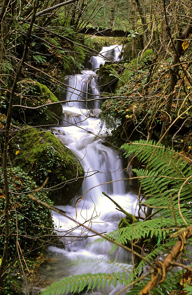 Reserva de la Biosfera de los Ancares Leoneses10