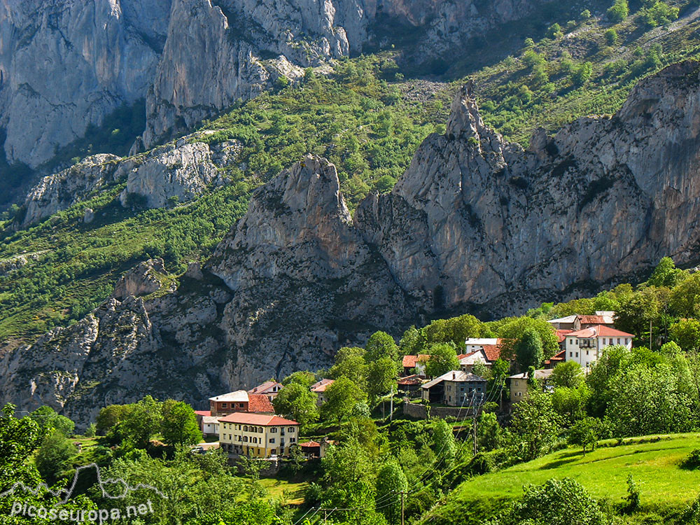 Cordiñanes de valdeon picosdeeuropa