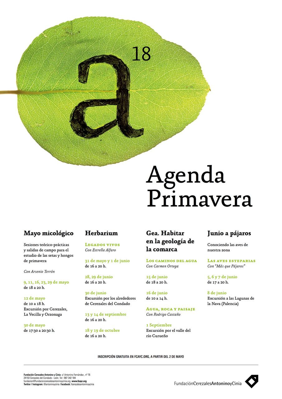 FCAYC Agenda Primavera 2018 copia preview