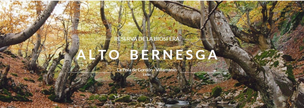 Reserva Biosfera Alto Bernesga