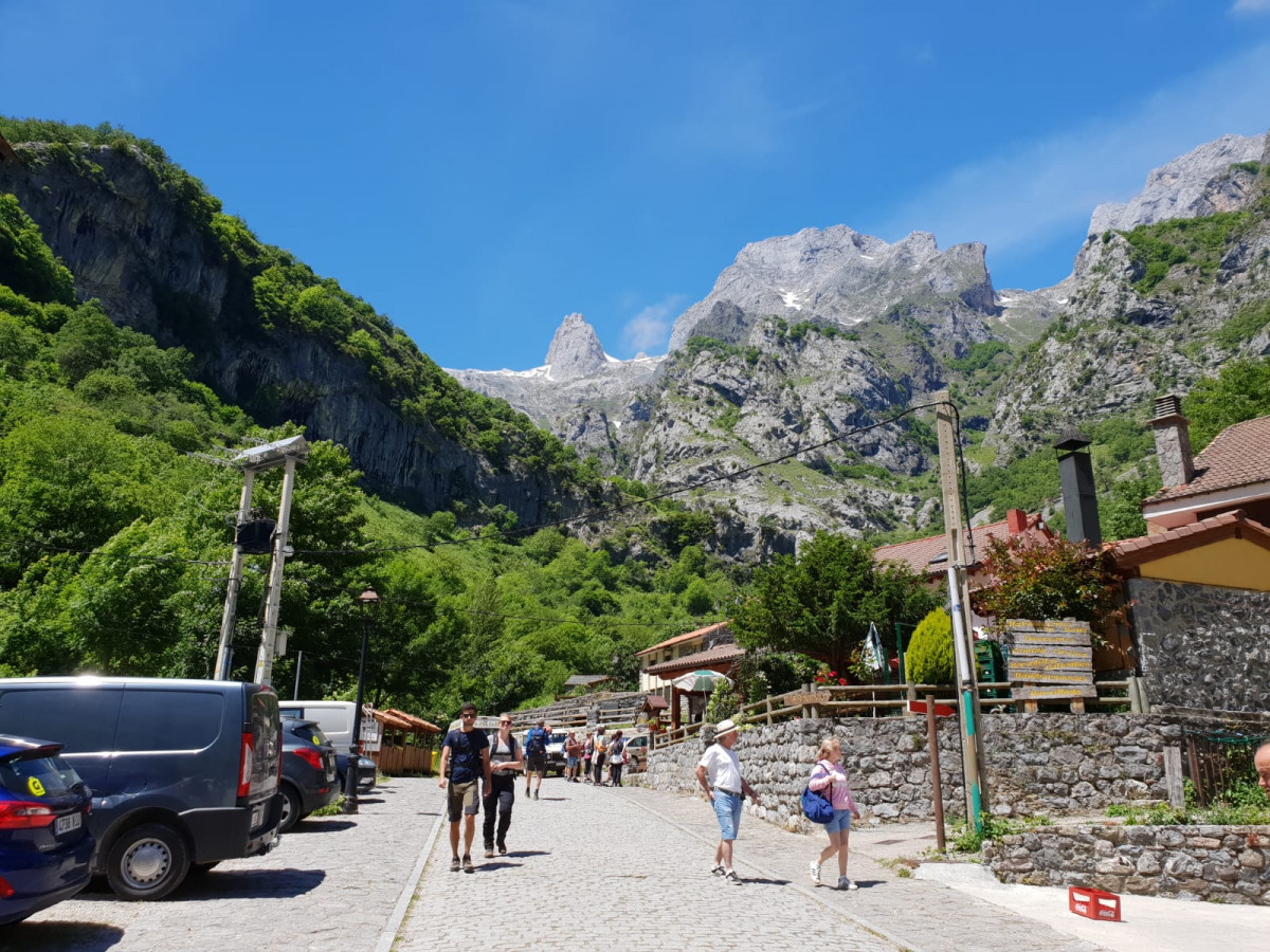 Cain leon picos de europa