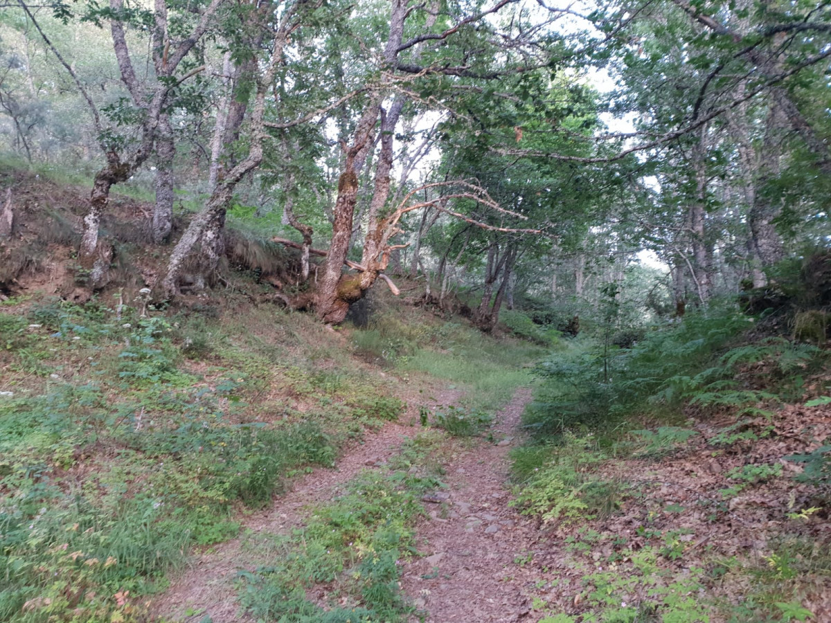 Lagunas caminayo 3