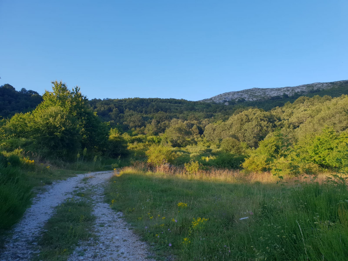 Lagunas caminayo 5