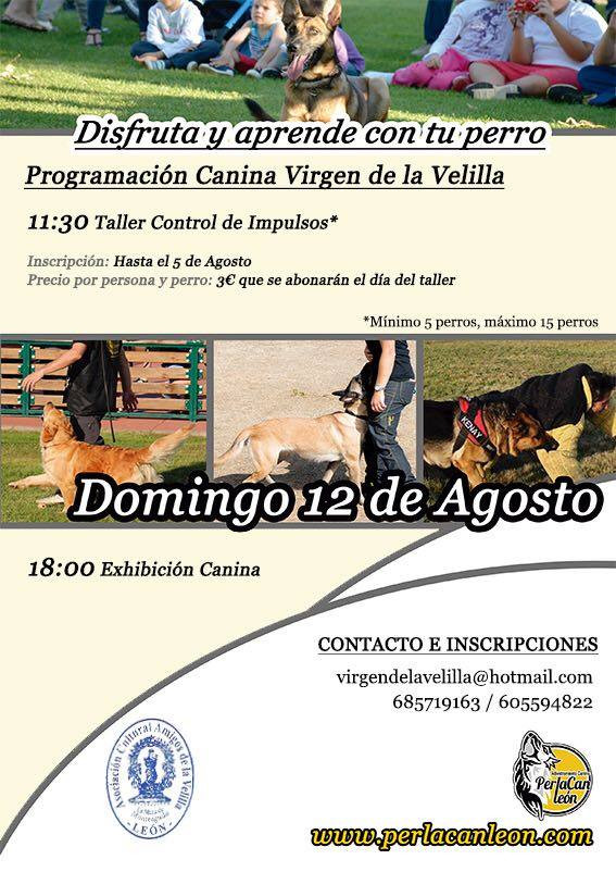 Taller canino la velilla