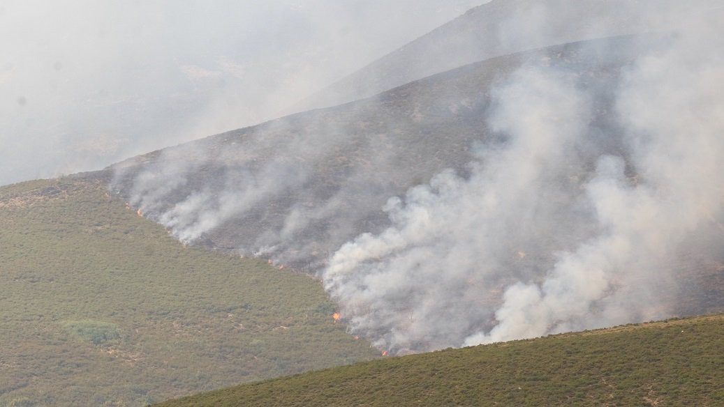 Incendios forestales