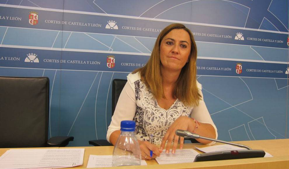 Virginia barcones psoe