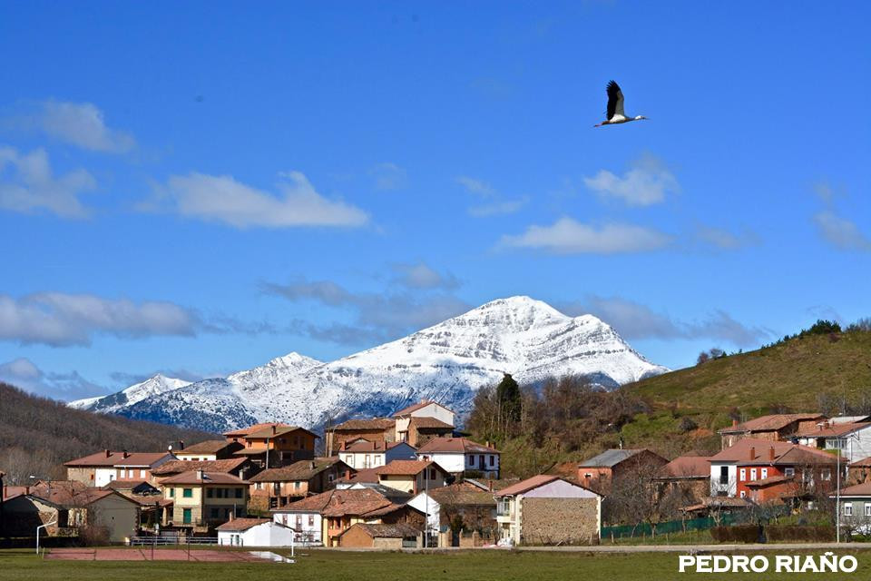 Cegou00f1al 2016 3 ddv PEDRO