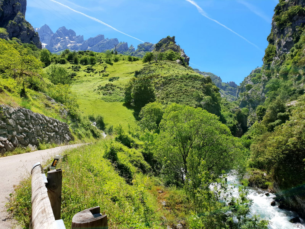 2018 picos de europa