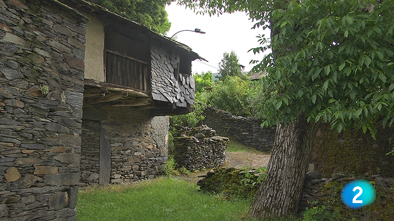 TVE ResBiosf Peranzanes