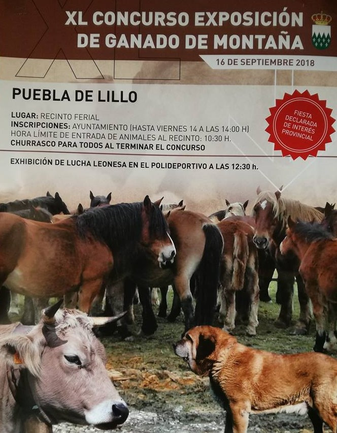 PUEBLA DE LILLO CARTEL (2)