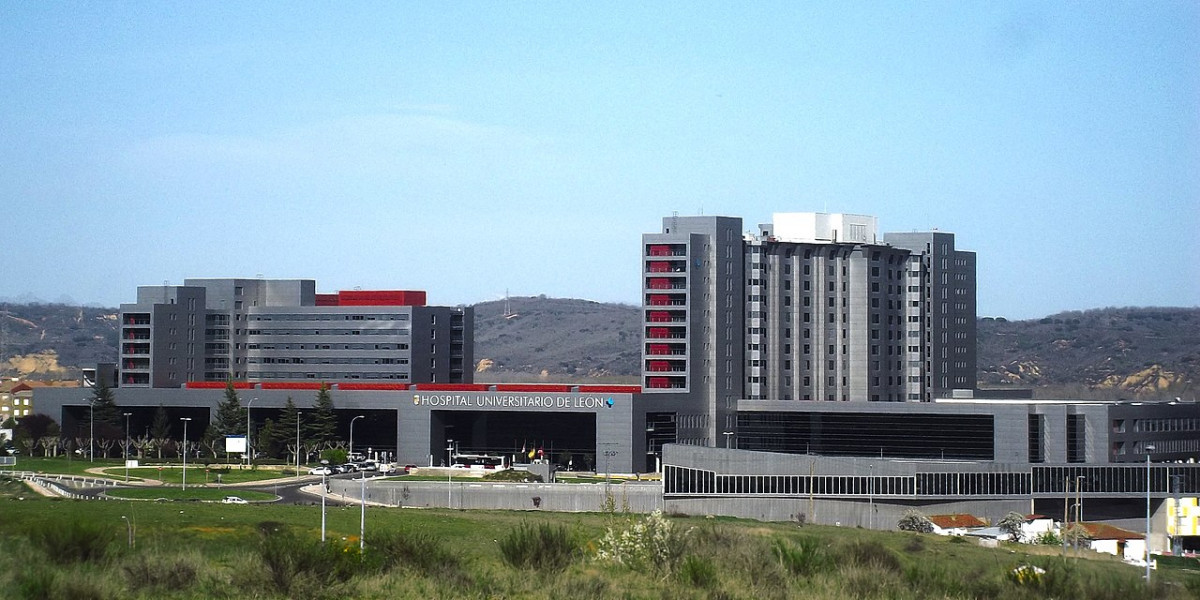 Hospital de leon danichanleon