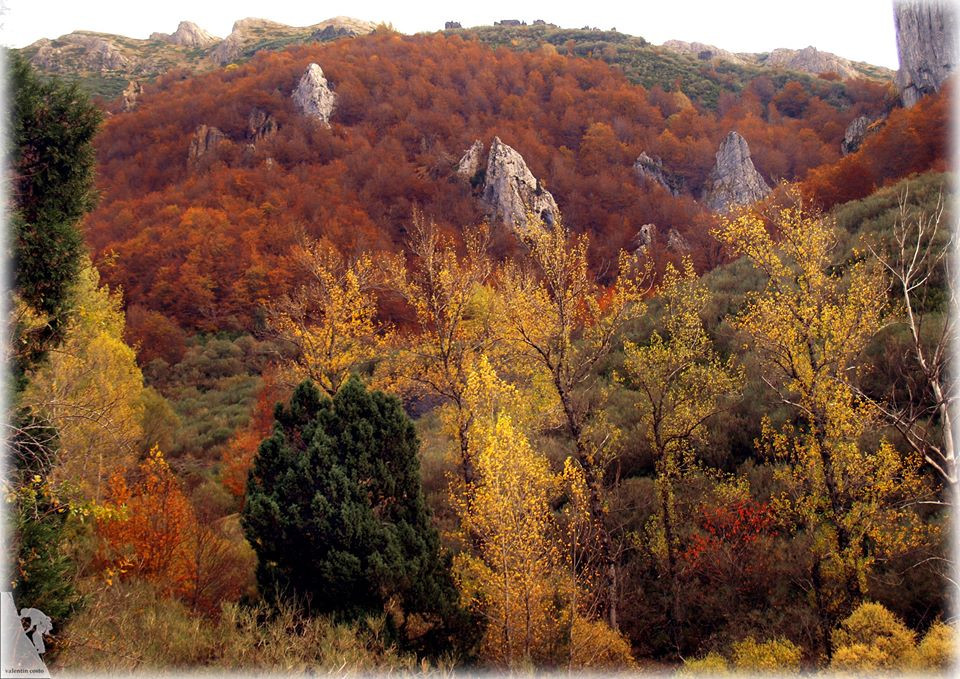 Otoño en argovejo 2018 valentin costo garcia