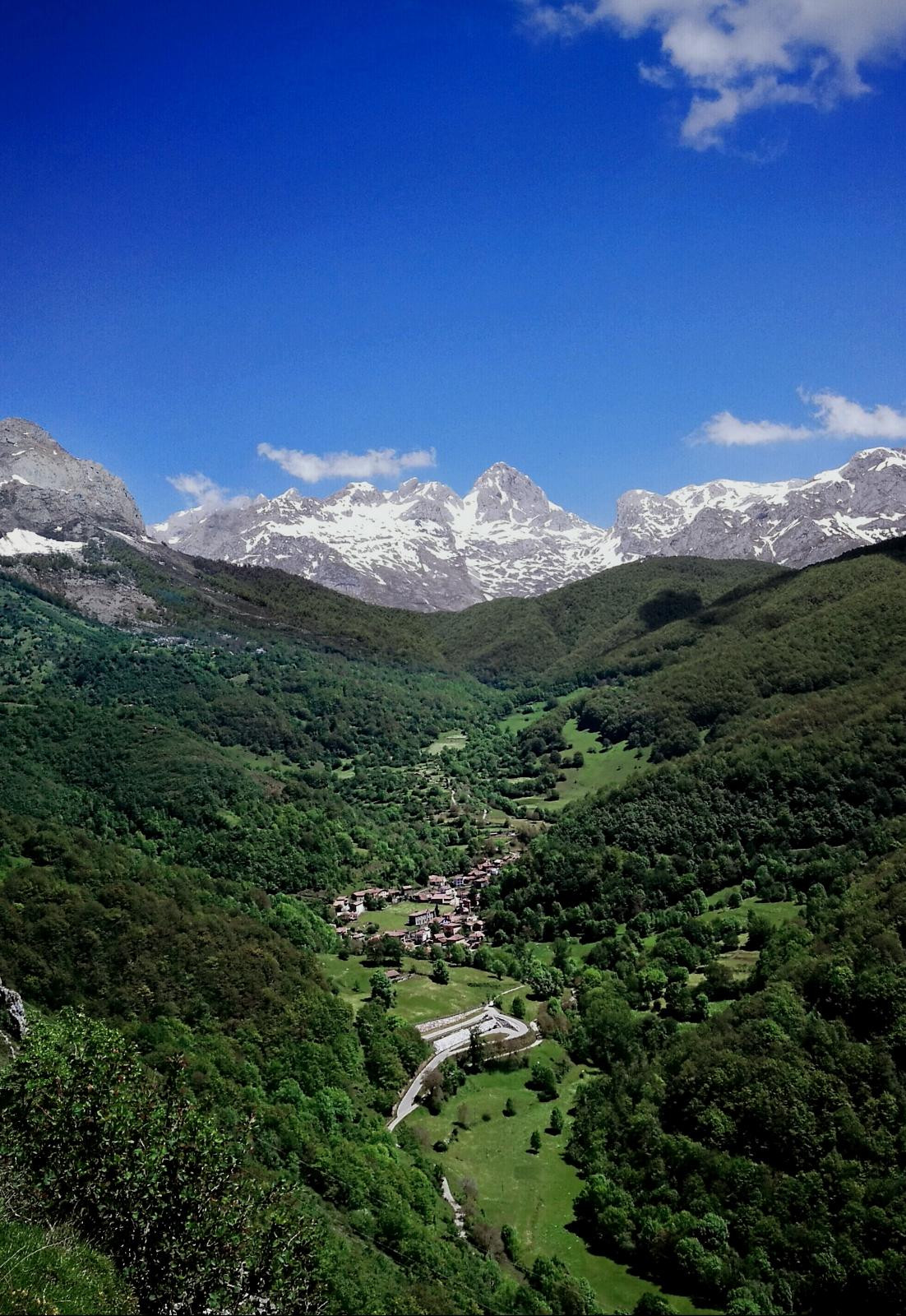 El encanto de picos 8
