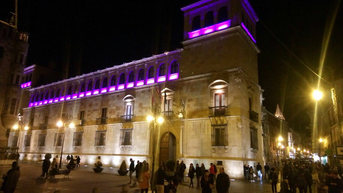 Palacio de los guzmanes 2