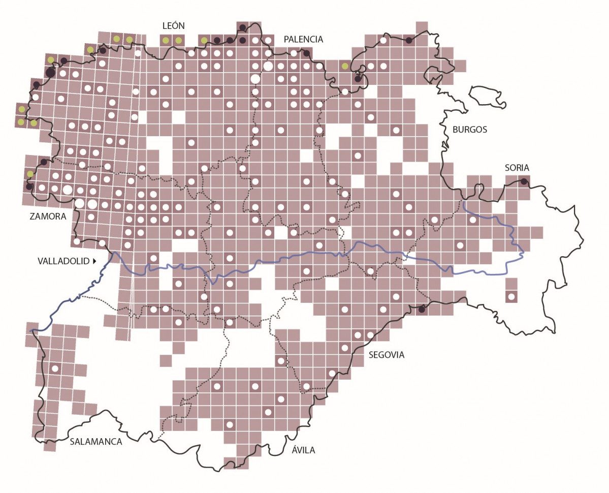 Censo+regional+2012 2013