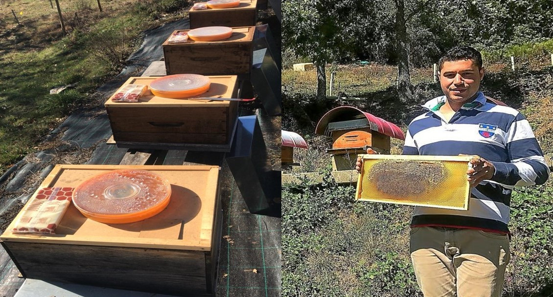 Adrian rodriguez apicultor morgovejo (2)
