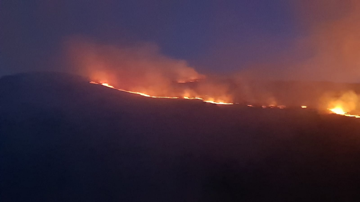 Incendio aralla leon enero 2018 2