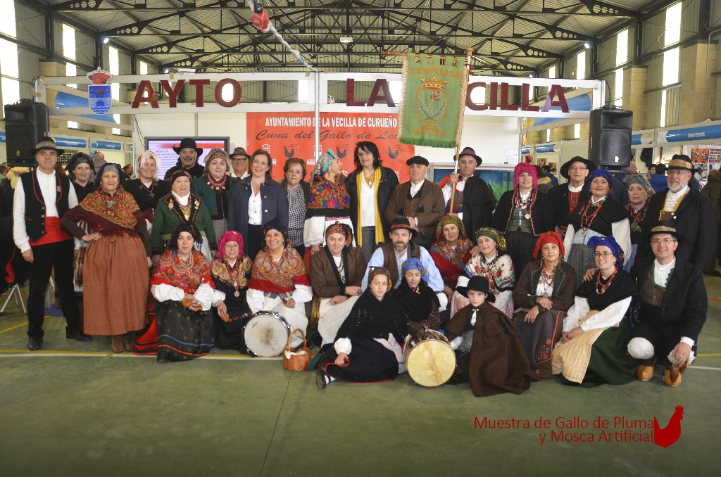 La vecilla feria gallo de pluma