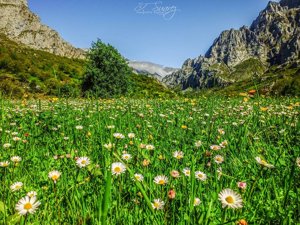 Picos de europa j.suarez fotografia digital