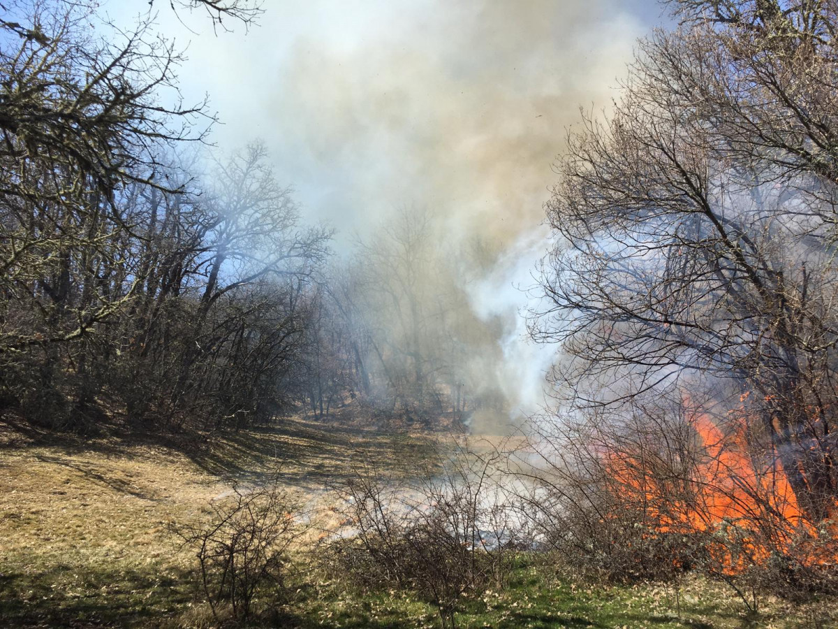 Incendio guardo marzo 2