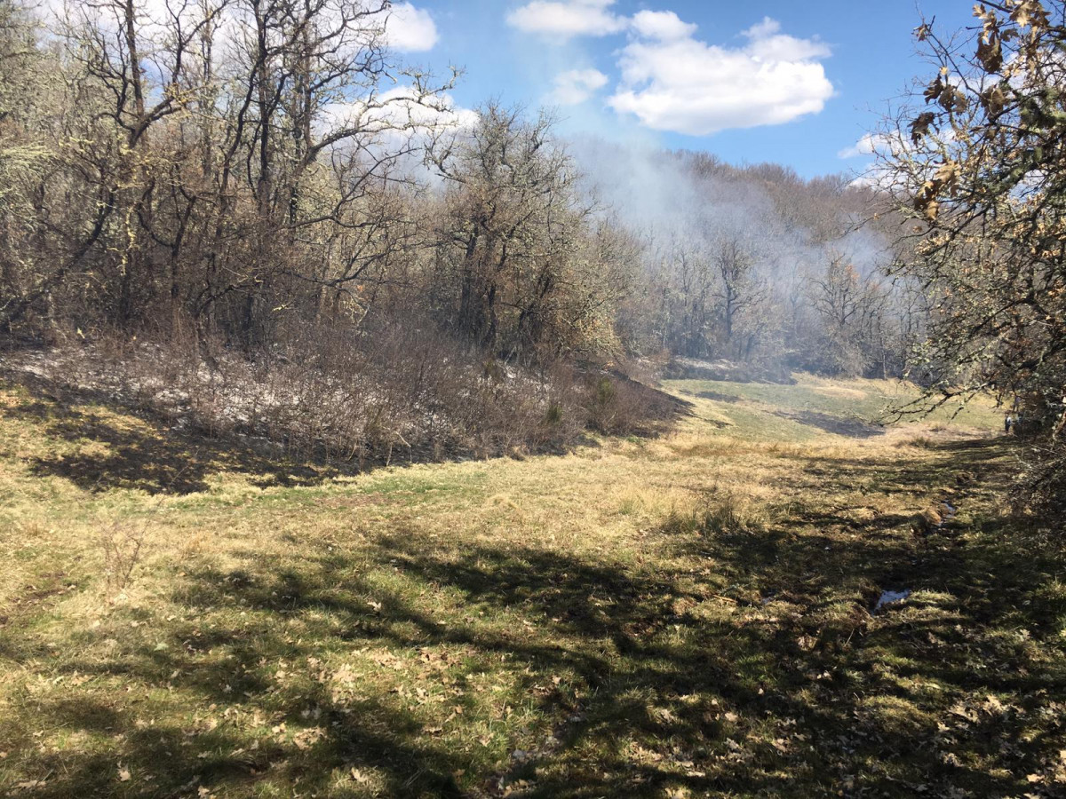 Incendio guardo marzo 4