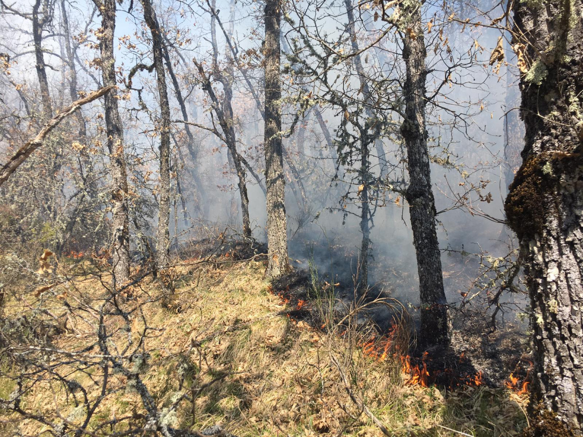 Incendio guardo marzo 6