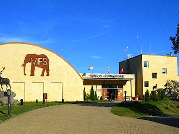 Museo de la fauna salvaje valdehuesa