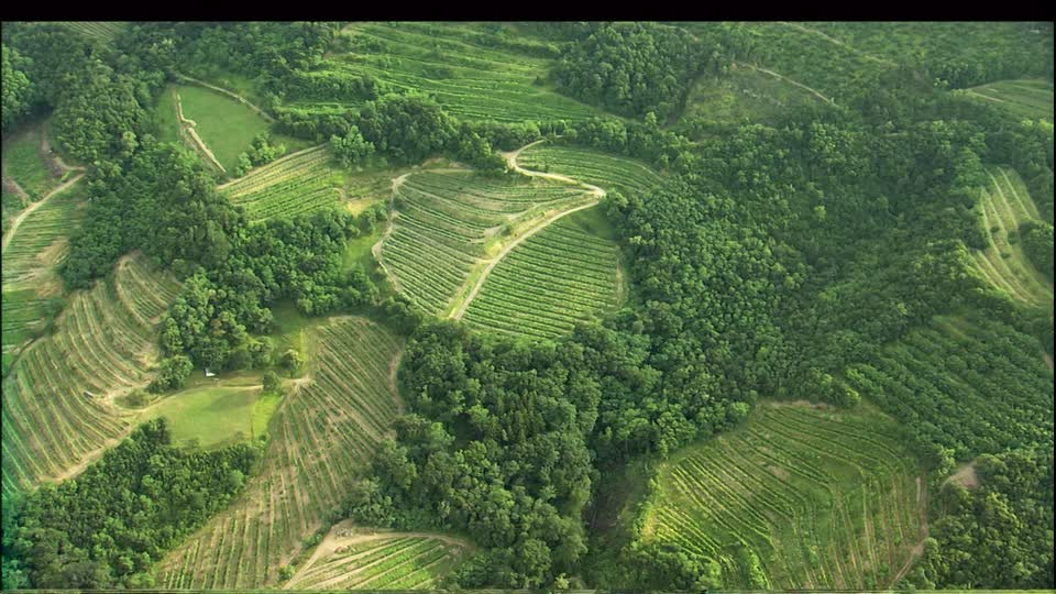 Agricultura montaña