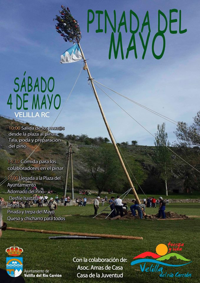 Pinada del mayo 2019 velilla