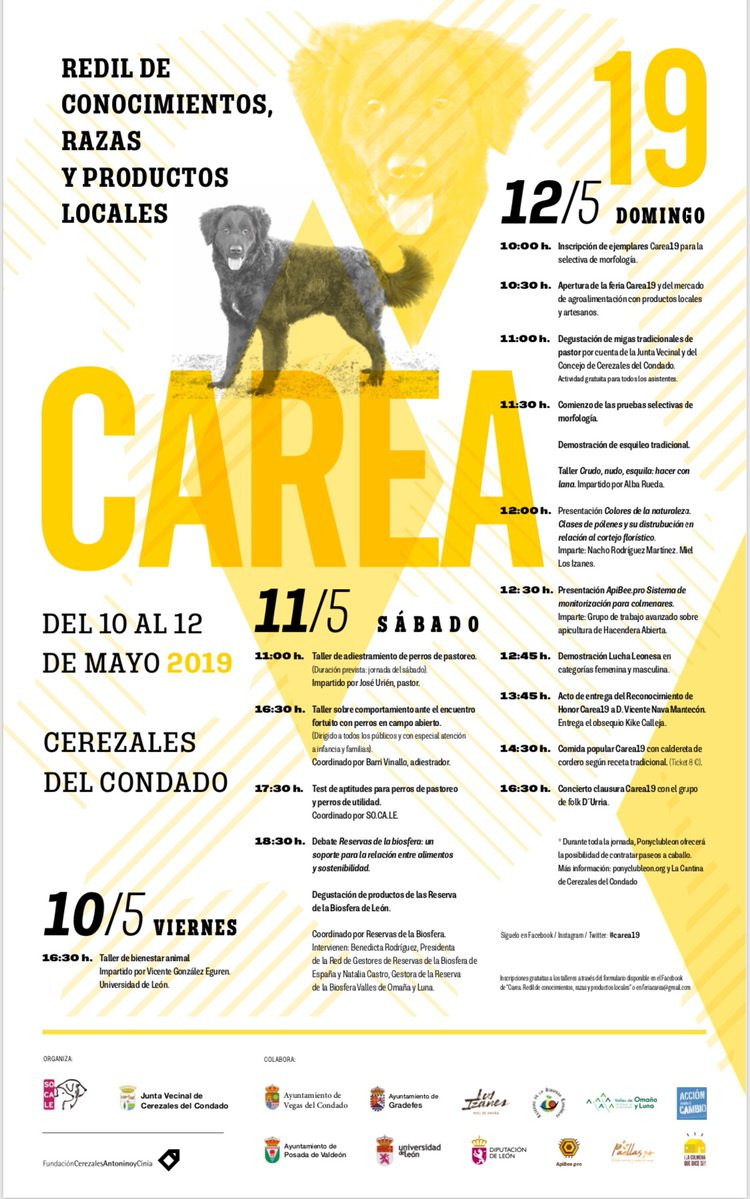 Feria carea 2019