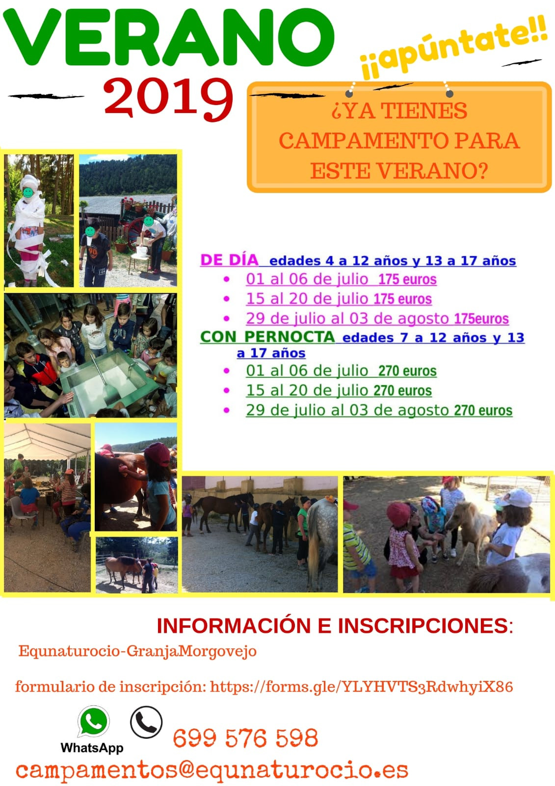 Cursos de verano 2019 equna