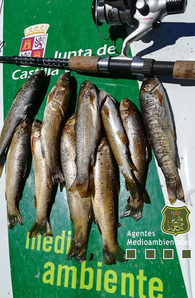 Pesca trucha agentes mediam