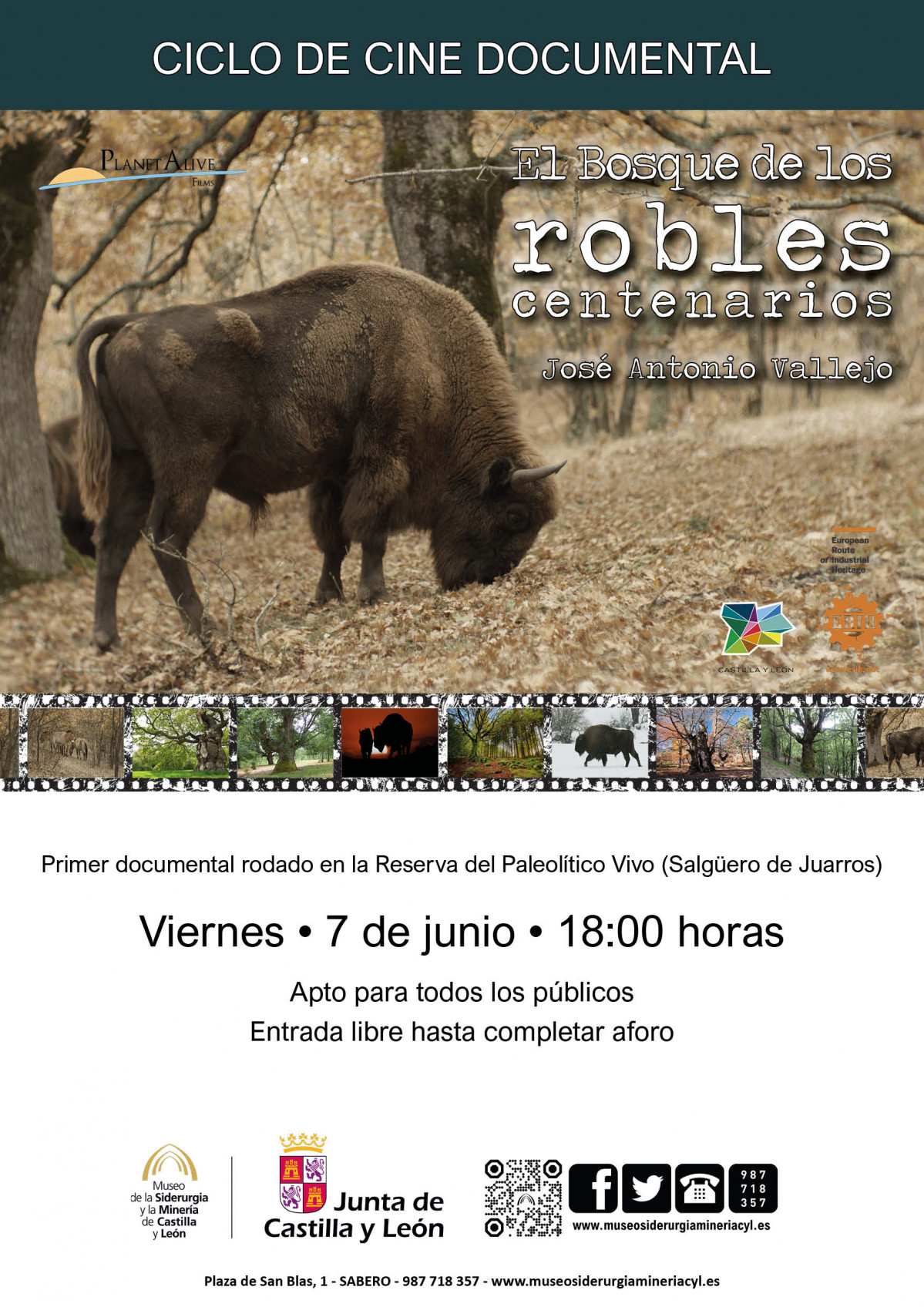 El Bosque de los Robles Centenarios (para web)