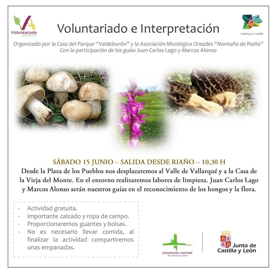 Voluntariado riau00f1io (1)