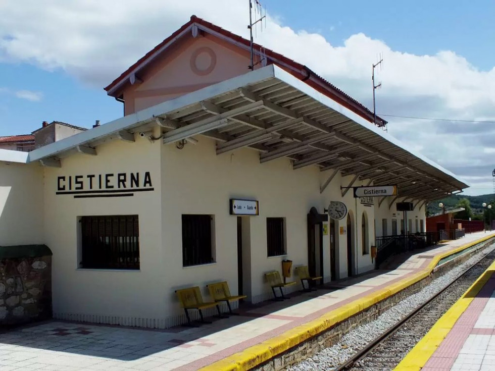 Feve cistierna