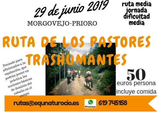 Trashumancia caballos