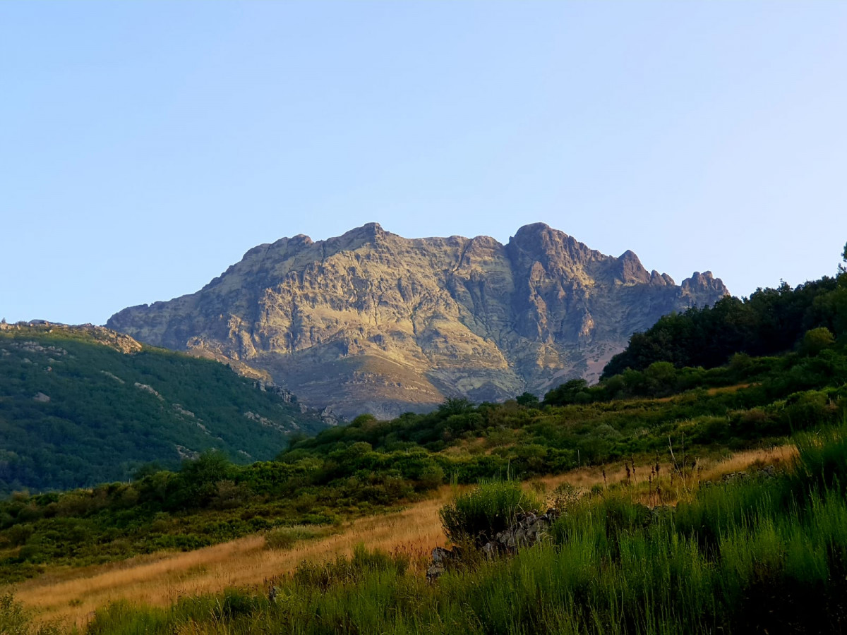 Pico curavacas